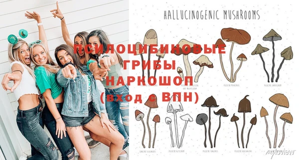 скорость Бронницы