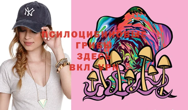 соль курить ск Верея