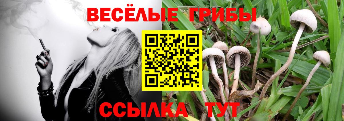 Бутурлиновка  Галлюциногенные грибы GOLDEN TEACHER  Вход с VPN  Галлюциногенные грибы мухоморы 